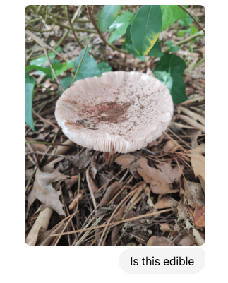 Week 42: Using AI to find a trail run